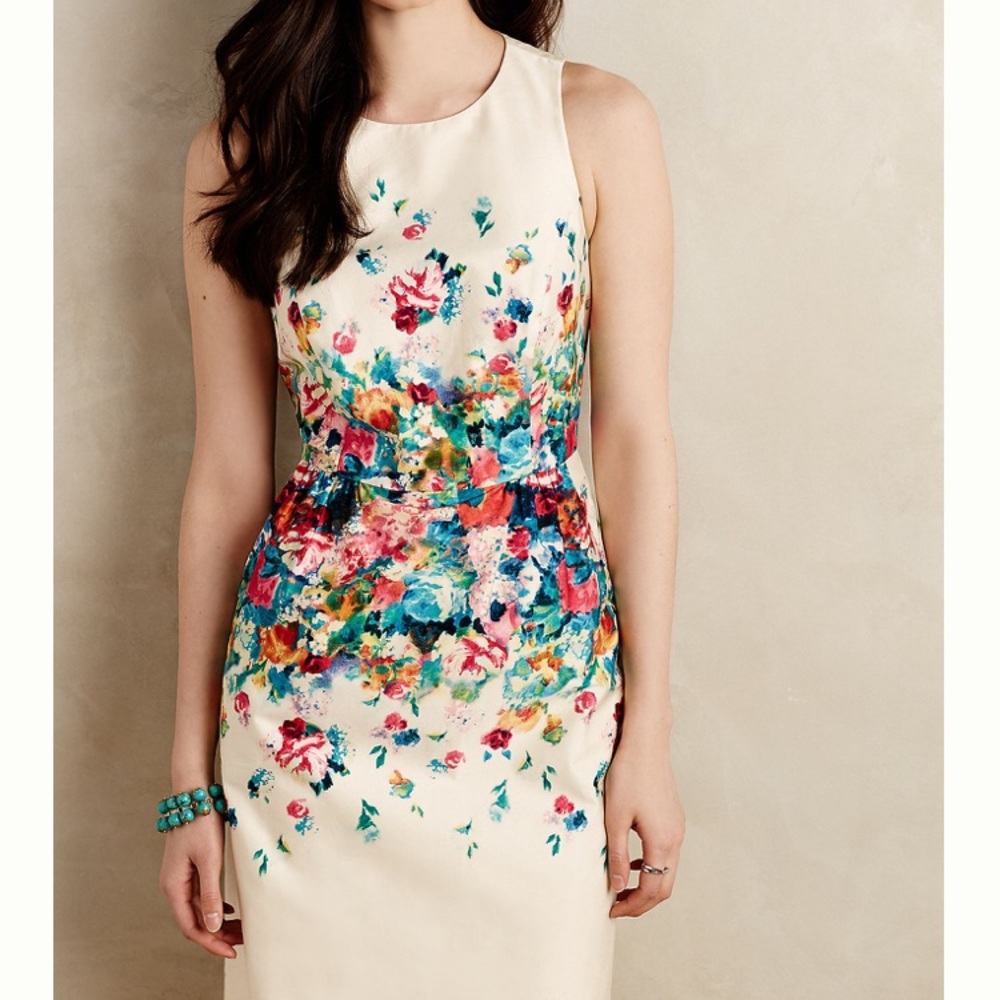 Anthropologie Tea Garden Maeve sheath dress size 2